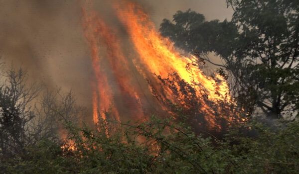 Canelones: Campaña de prevención de incendios 2024
